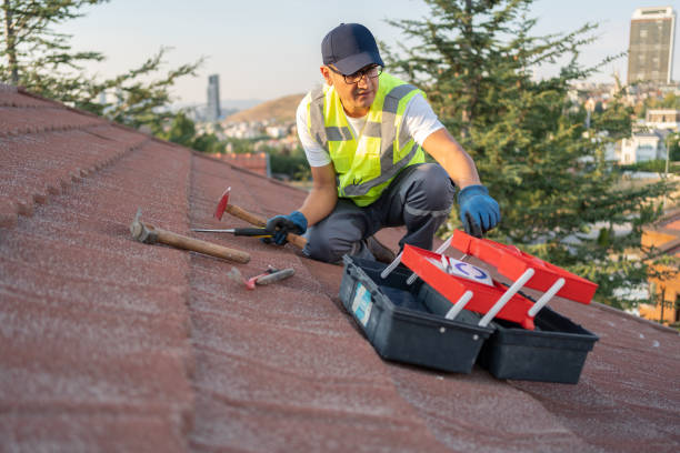 Best Storm Damage Siding Repair  in Highland Park, NJ